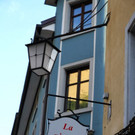 IMG_7911.jpg
