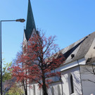 KOE_Fidelisfest 2017 12.jpg