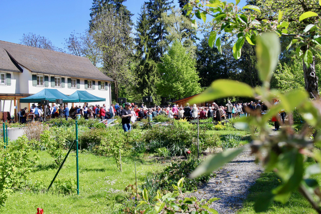 KOE_Fidelisfest 2017 15.jpg