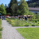 KOE_Fidelisfest 2017 25.jpg