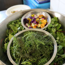 BK_Weinkulinarium 2017 GH Stern 8.jpg