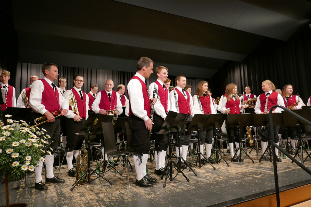 Fr__hjahrskonzert_2017 _17_.JPG