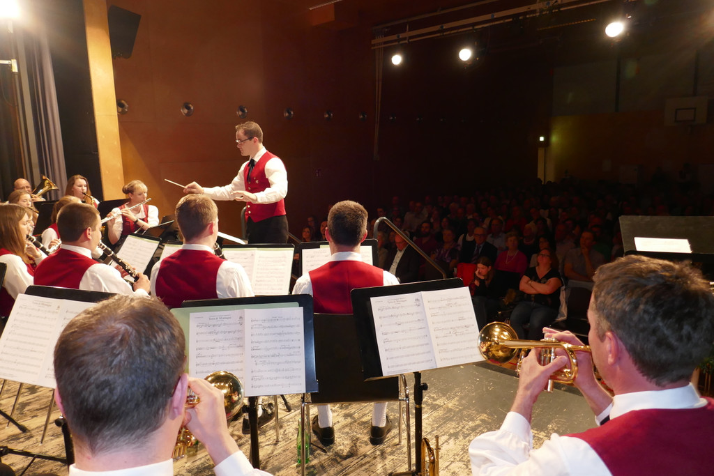 Fr__hjahrskonzert_2017 _46_.JPG