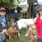 IMG_1374.JPG