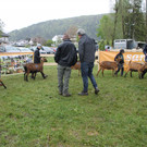 IMG_1386.JPG