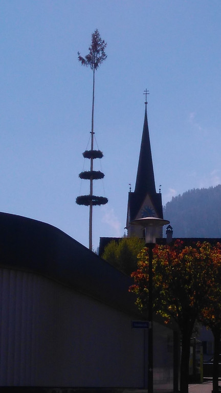DSC_0017_Maibaum.jpg