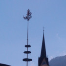 DSC_0017_Maibaum.jpg
