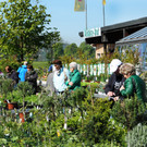 Mahlerhof 30-04-17 51.jpg