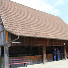 IMG_5395.JPG