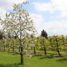 IMG_5439.JPG