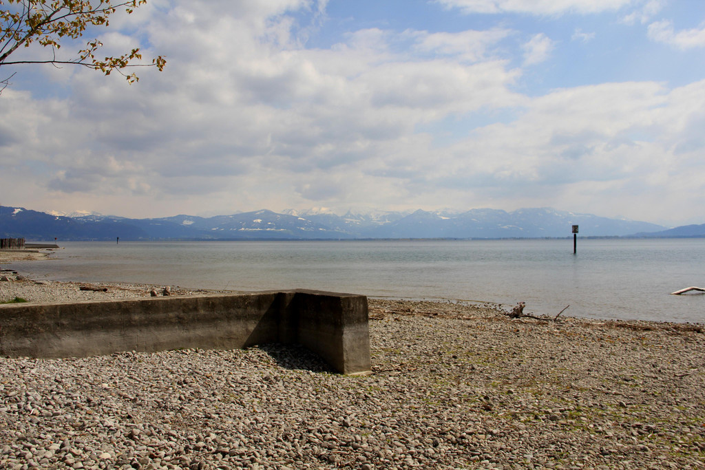 IMG_5446.JPG