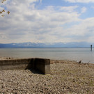 IMG_5446.JPG