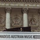 Amadeus Austrian Music Awards 2017 - Red Carpet _2 von 127_.jpg