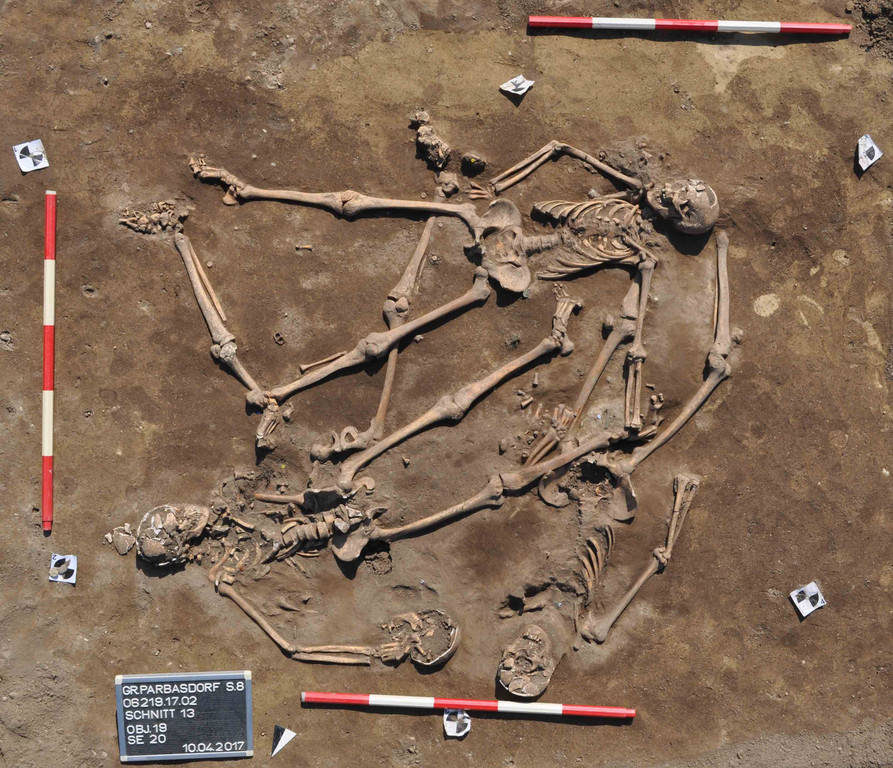 ASFINAG S 8 Arch_ Grabungen0.jpg