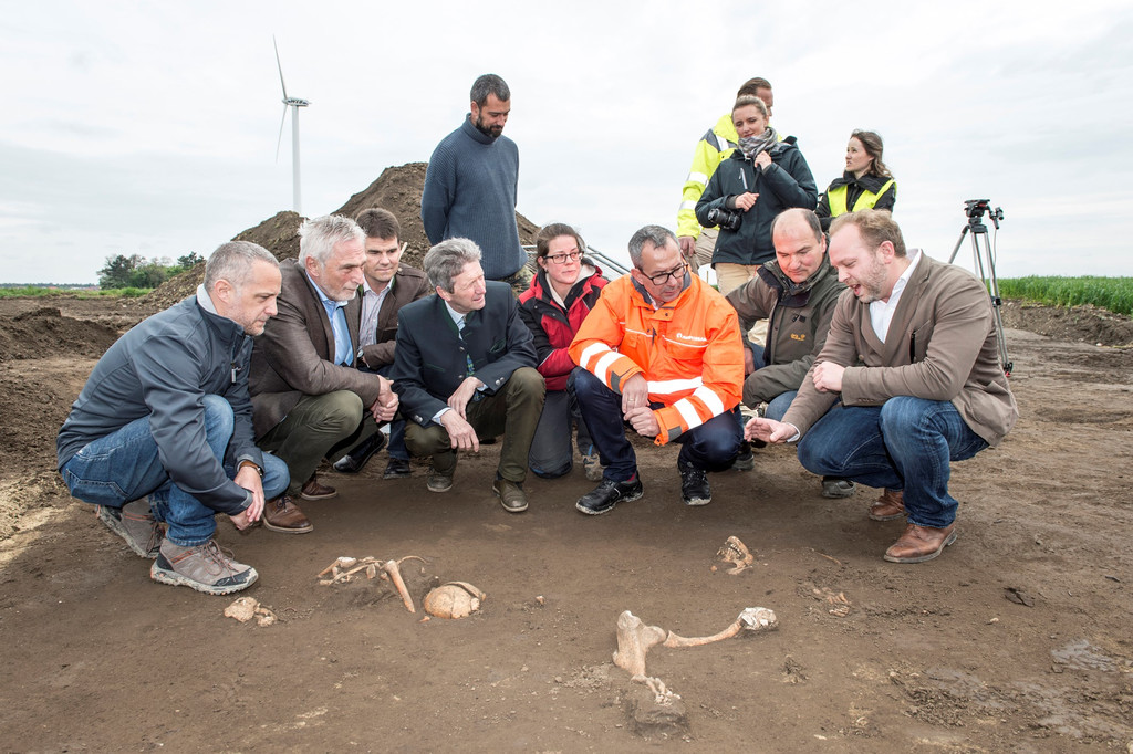 ASFINAG S 8 Arch_ Grabungen2.jpg