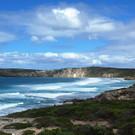 04 - Kangaroo Island.jpg