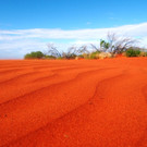 12 - Rote Sandd__nen Outback.jpg