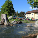IMG_1696.JPG
