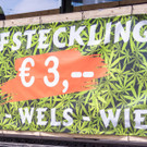 Hanf Wandertag 2017 - 06_05_2017 _22 von 195_.jpg