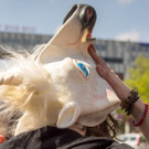 Hanf Wandertag 2017 - 06_05_2017 _36 von 195_.jpg
