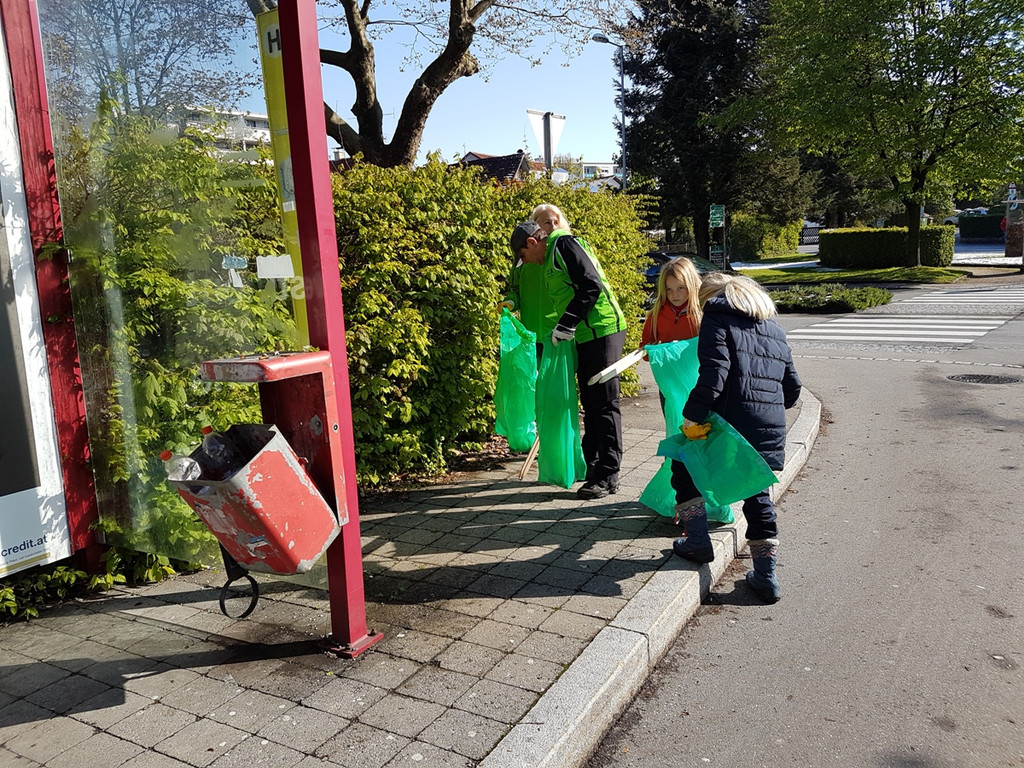 Landschaftsreinigung FOTOS Wagenleitner 29-04-2017 _14_.jpg