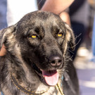 Hanf Wandertag 2017 - 06_05_2017 _188 von 195_.jpg