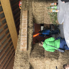 Die Bar_ der -L__mmerschlupf-.JPG