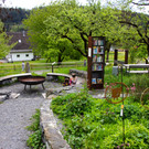 IMG_1357.jpg