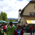 IMG_1373.jpg