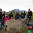 DSC04264.jpg