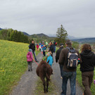 DSC04298.jpg