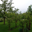 DSC02584.JPG