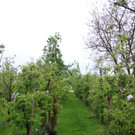 DSC02585.JPG