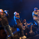 S__hne Mannheims BY MIKE SIBLIK - 101.jpg