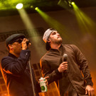 S__hne Mannheims BY MIKE SIBLIK - 107.jpg