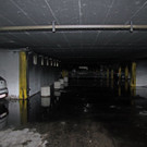 IMG_9131.JPG