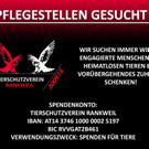 Partner gesucht?