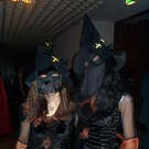278597.jpg
