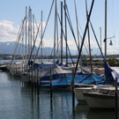 Blauer Anker AUDITIERUNG Hafen Lochau Mai 2017 _6_.JPG