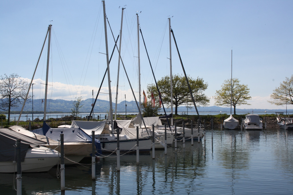 Blauer Anker AUDITIERUNG Hafen Lochau Mai 2017 _9_.JPG
