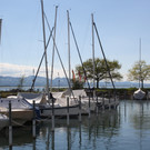 Blauer Anker AUDITIERUNG Hafen Lochau Mai 2017 _9_.JPG