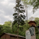KOE_Wildpark Tierpate Schneehase 8.jpg