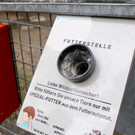KOE_Wildpark Tierpate Schneehase 11.jpg