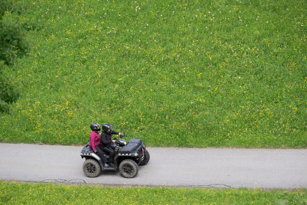 A__lpelelauf 20170513_001-052.jpg
