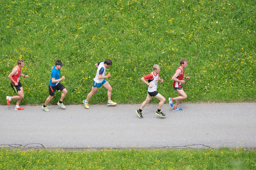 A__lpelelauf 20170513_004-052.jpg