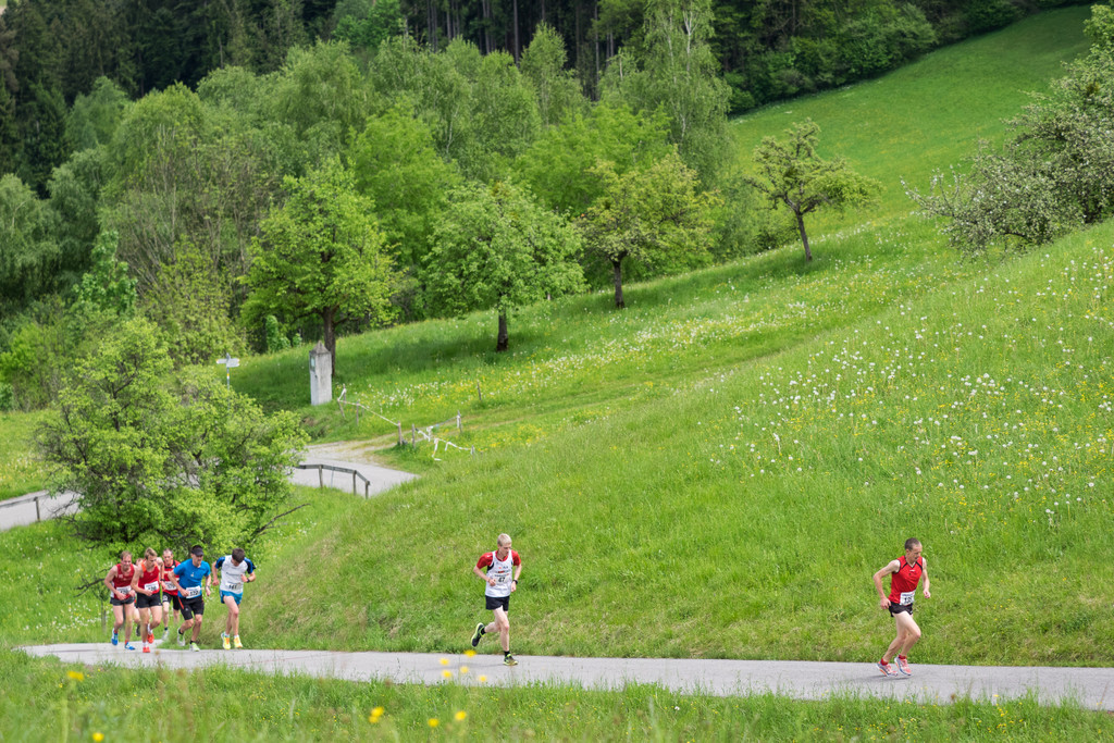 A__lpelelauf 20170513_011-052.jpg