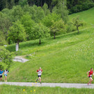 A__lpelelauf 20170513_011-052.jpg
