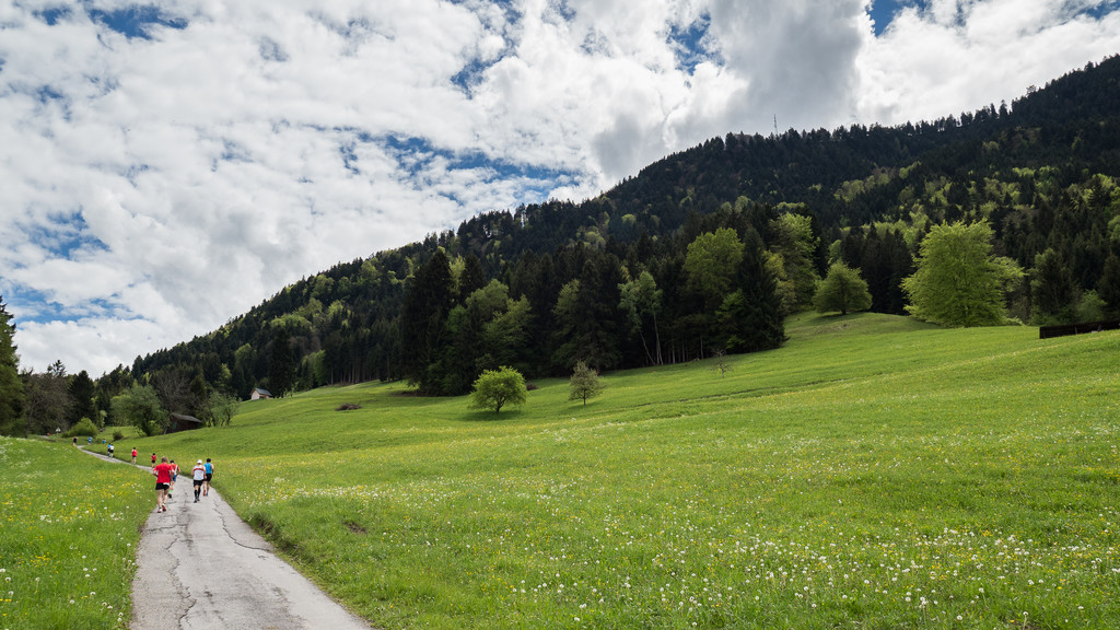 A__lpelelauf 20170513_020-052.jpg