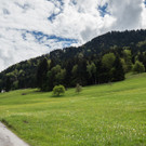 A__lpelelauf 20170513_020-052.jpg