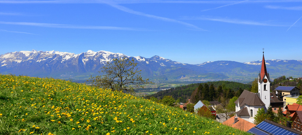 Natur 300417_13.JPG